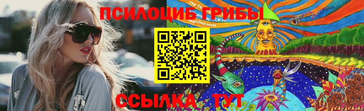 Будённовск  Псилоцибиновые грибы GOLDEN TEACHER  Вход с VPN 